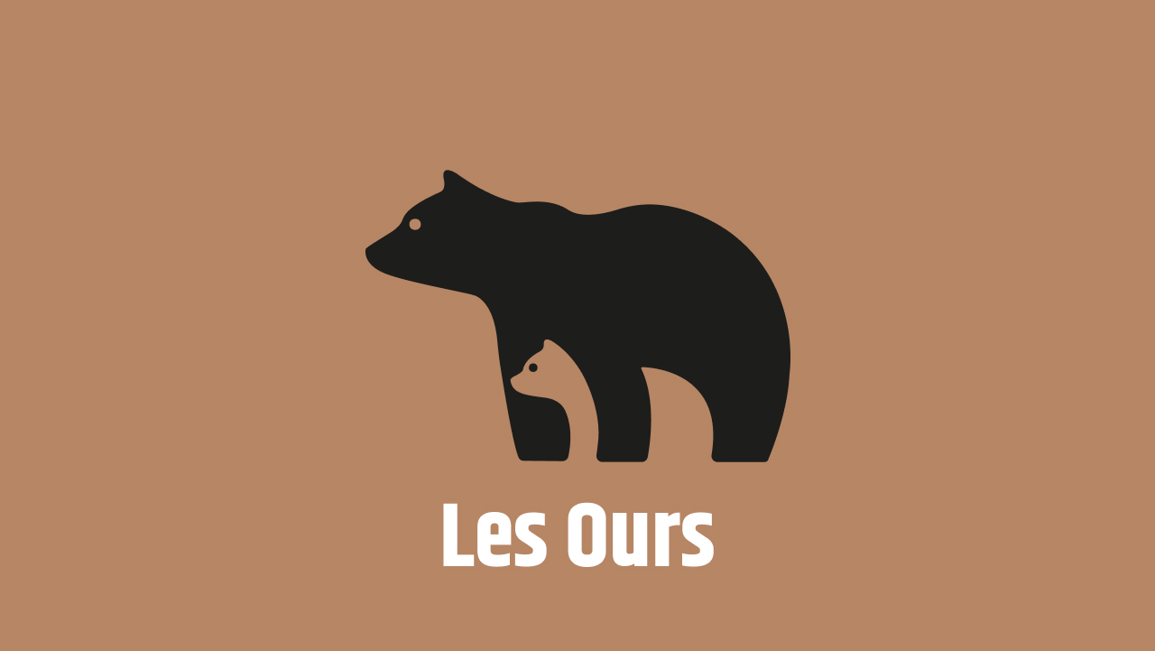 Site du chalet les ours réalisé en symfony tailwindcss